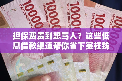 济南担保费贵到想骂人？这些低息借款渠道帮你省下冤枉钱