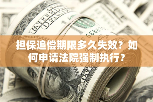 济南担保追偿期限多久失效？如何申请法院强制执行？