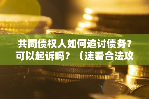 济南共同债权人如何追讨债务？可以起诉吗？（速看合法攻略）