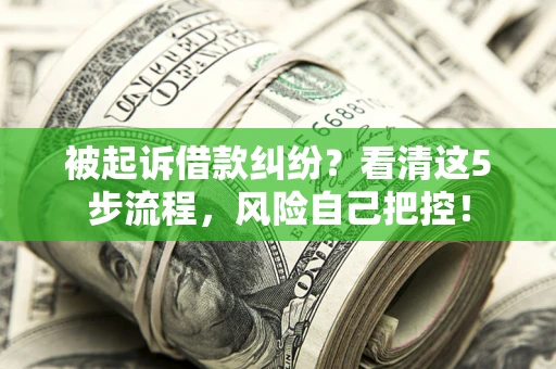 济南被起诉借款纠纷？看清这5步流程，风险自己把控！